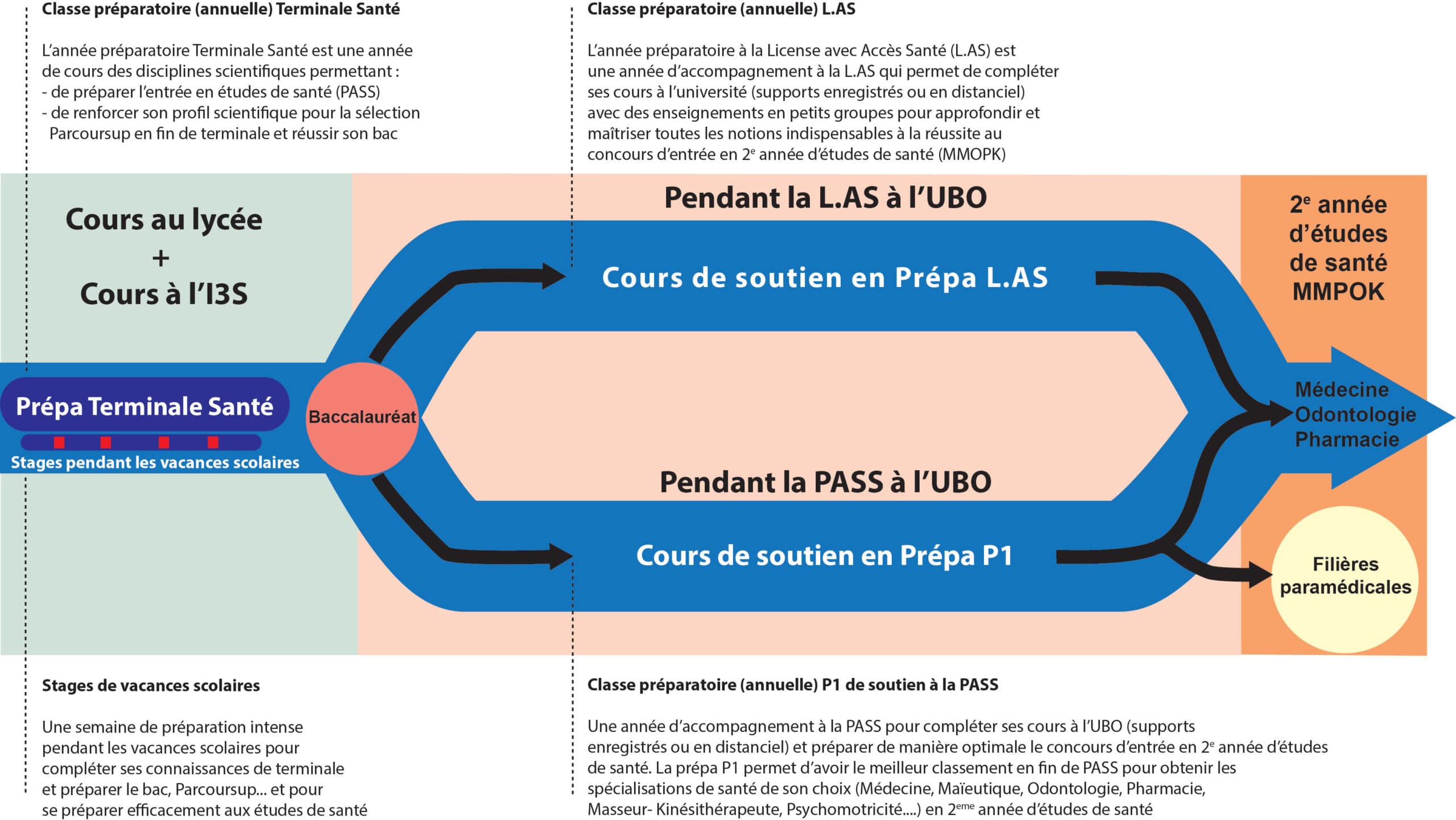 schema-etudes-sante schéma études santé